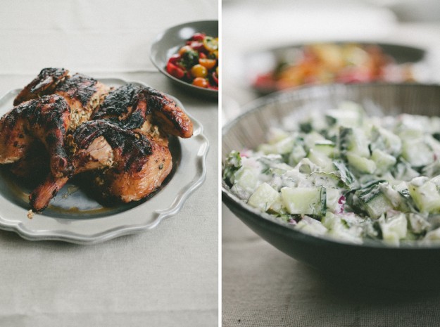 15 Easy and Delicious Grilled Chicken Recipes