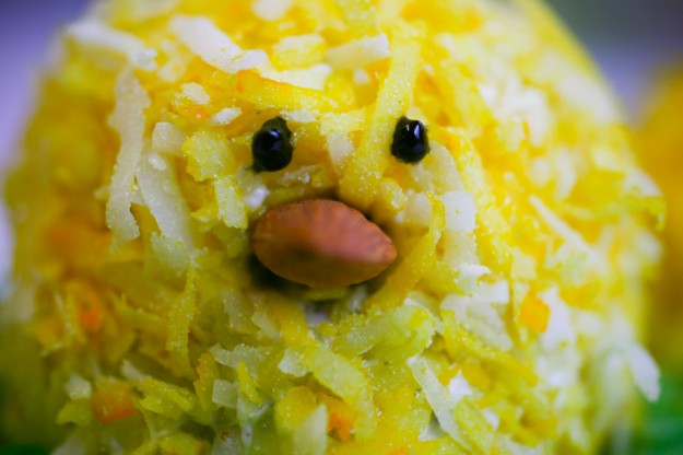 closeup_chicken closeup_chicken